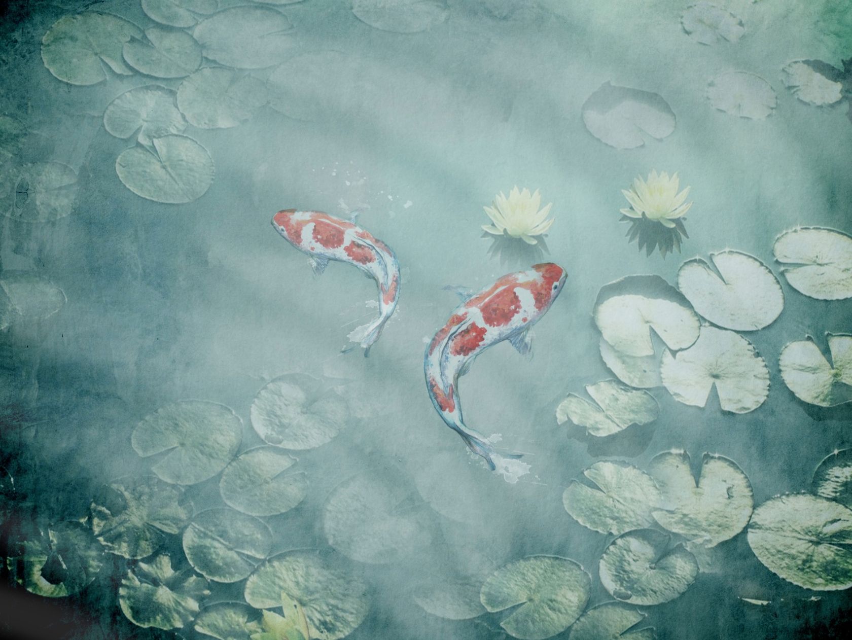 KOI