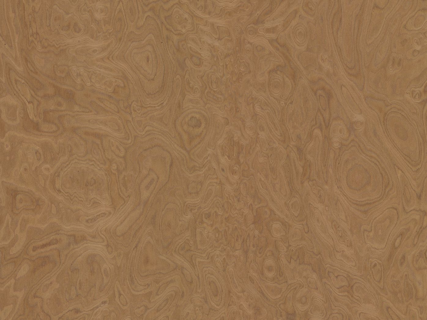 ALPI WALNUT BURL
