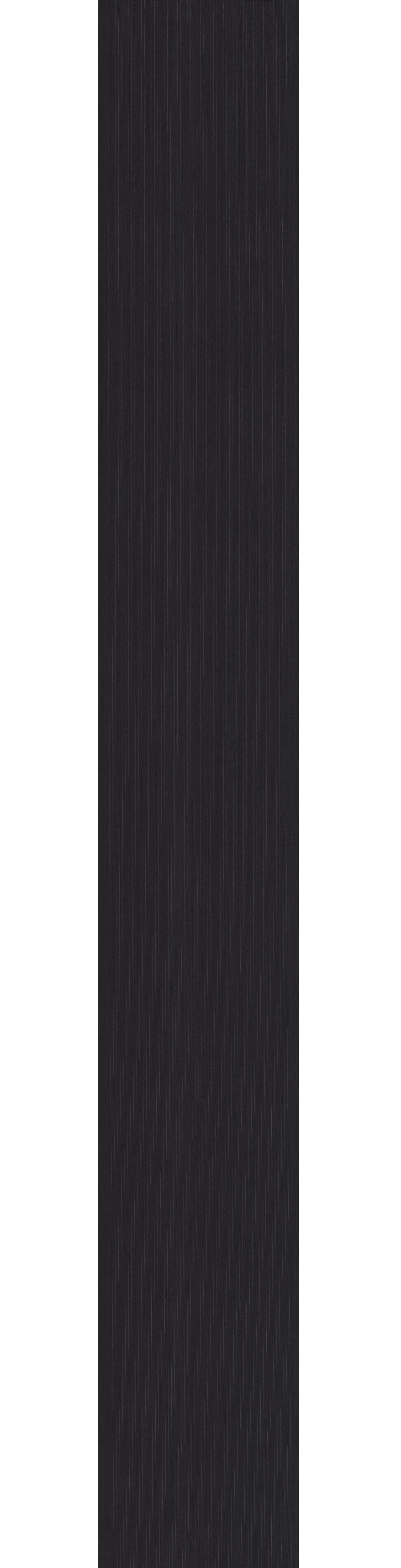 ALPI SILVER RAIL BLACK