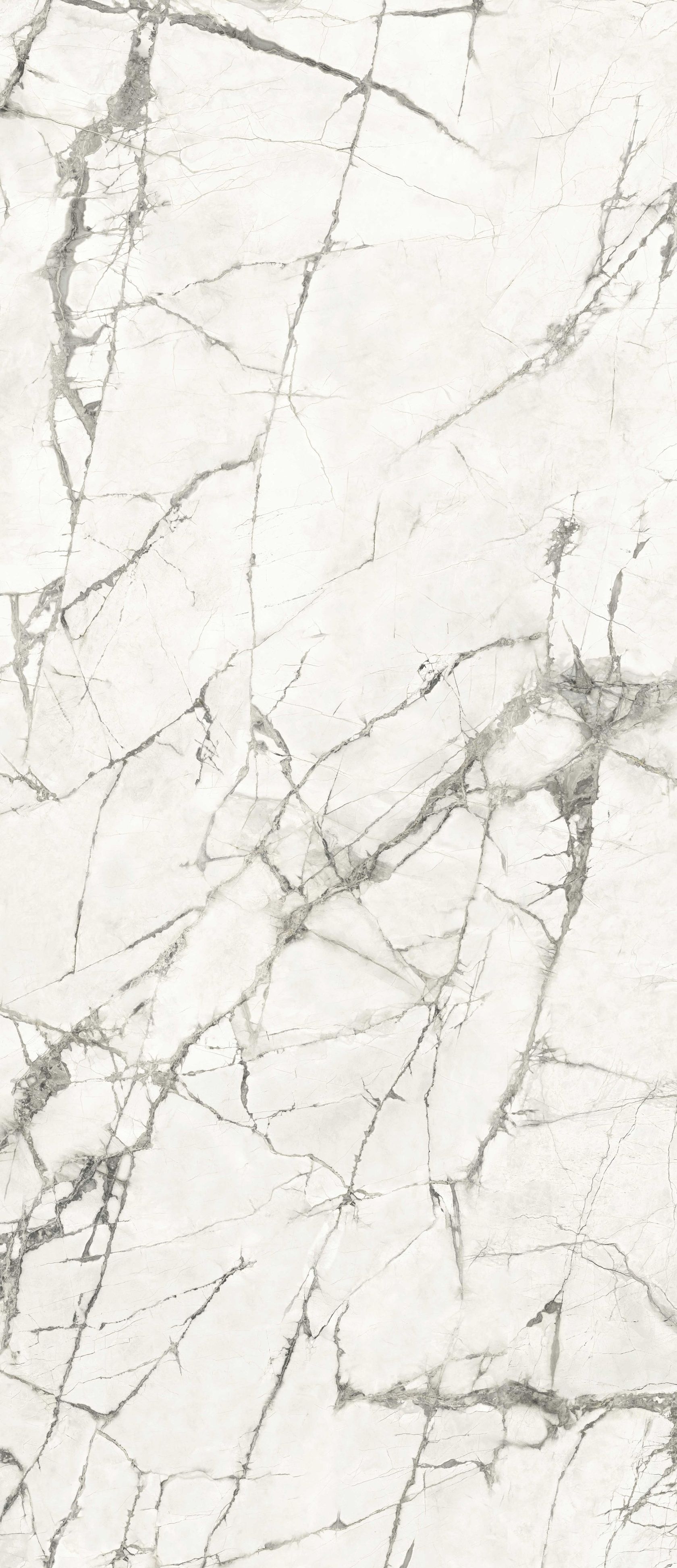 ANIMA EVER MAGNIFICENT WHITE