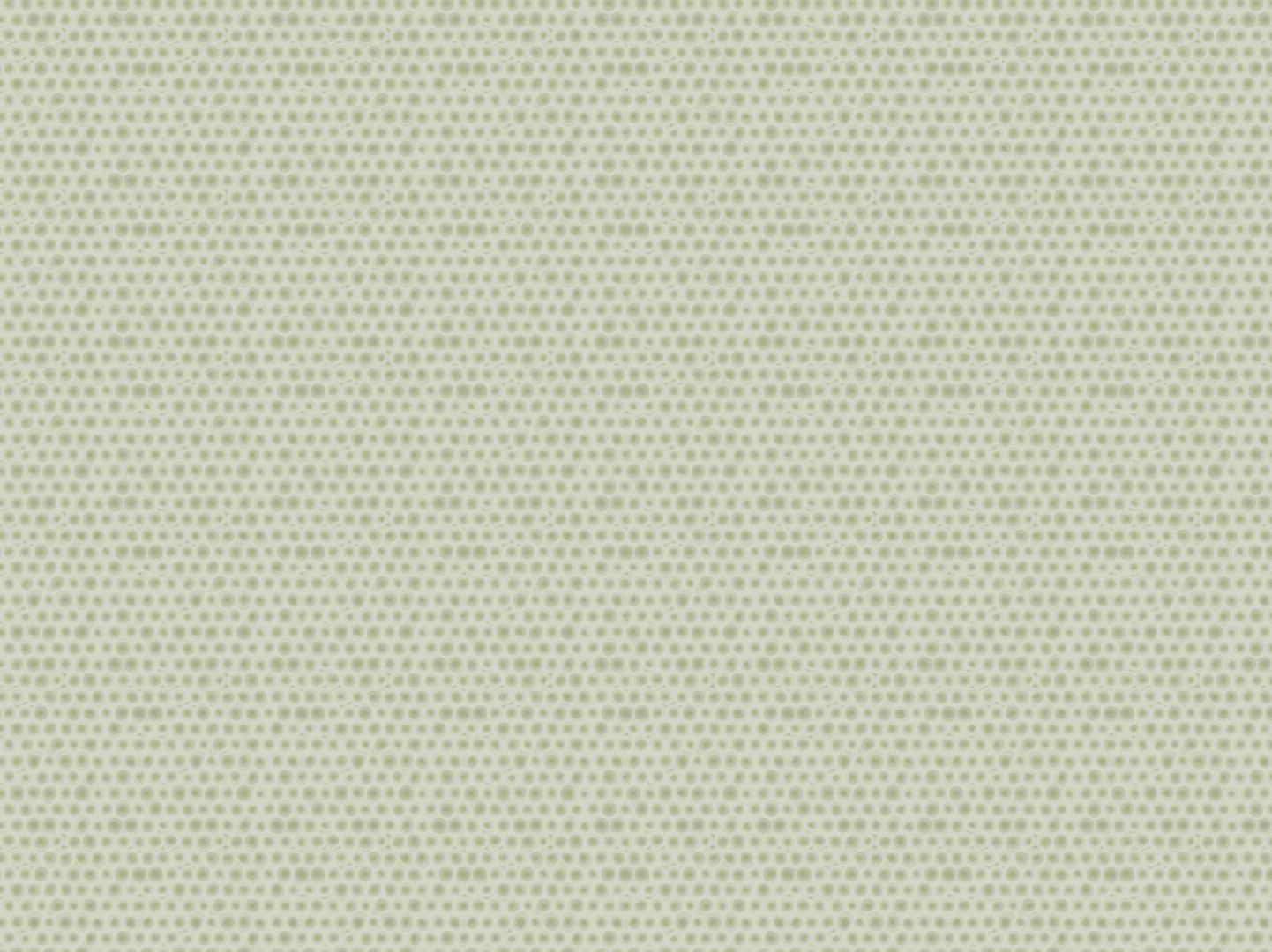 MARE NOSTRUM - MATTEO RAGNI