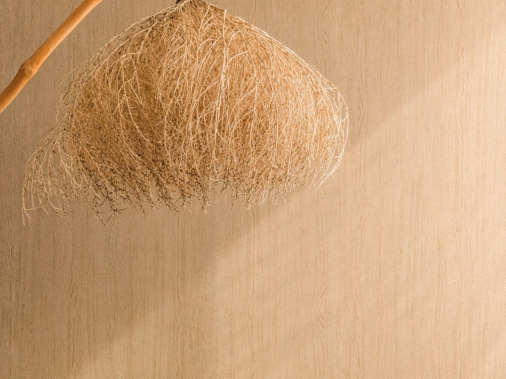 BOIS SCULPTÉ - GOUGE