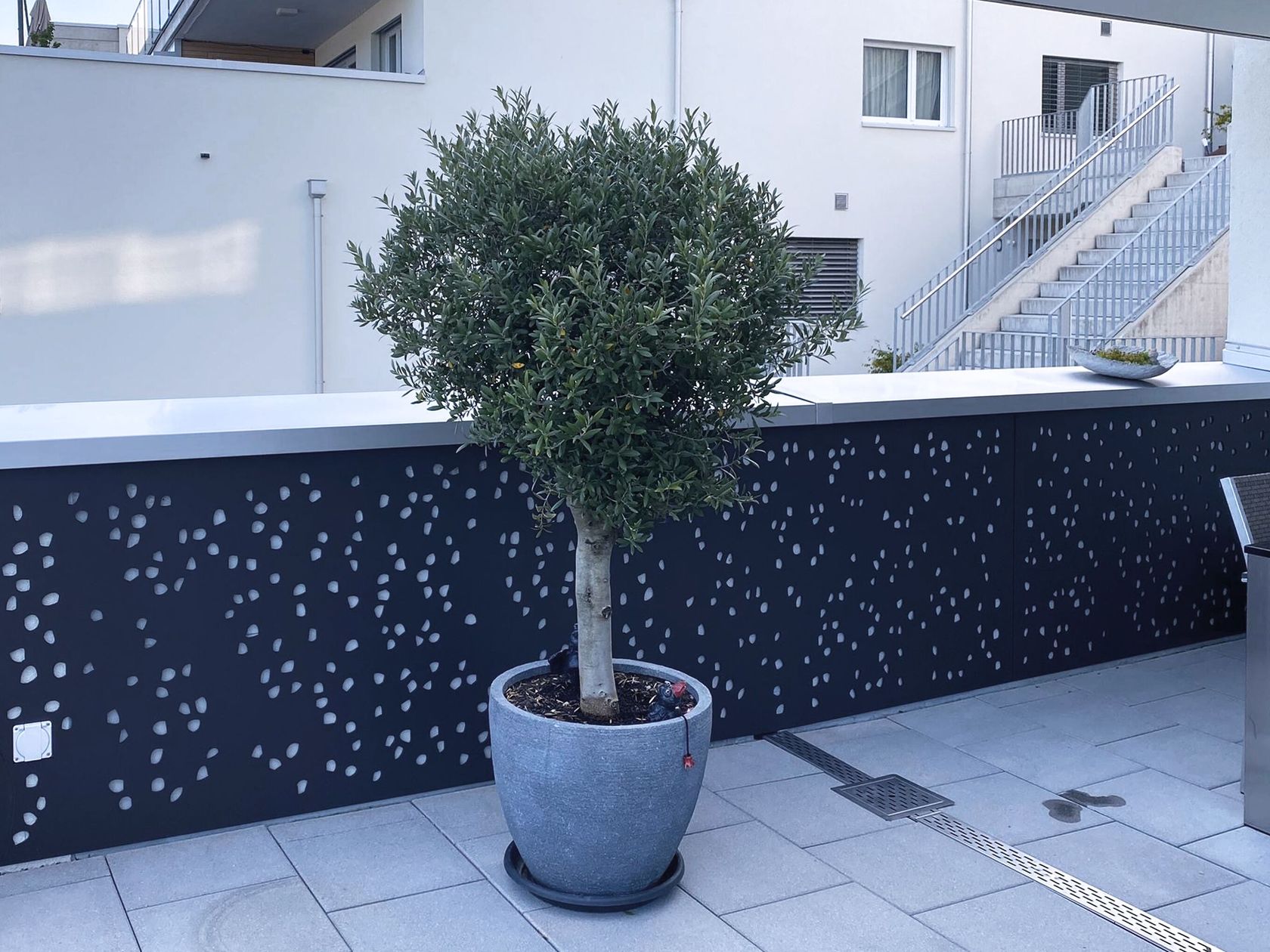 Garden Design Elements