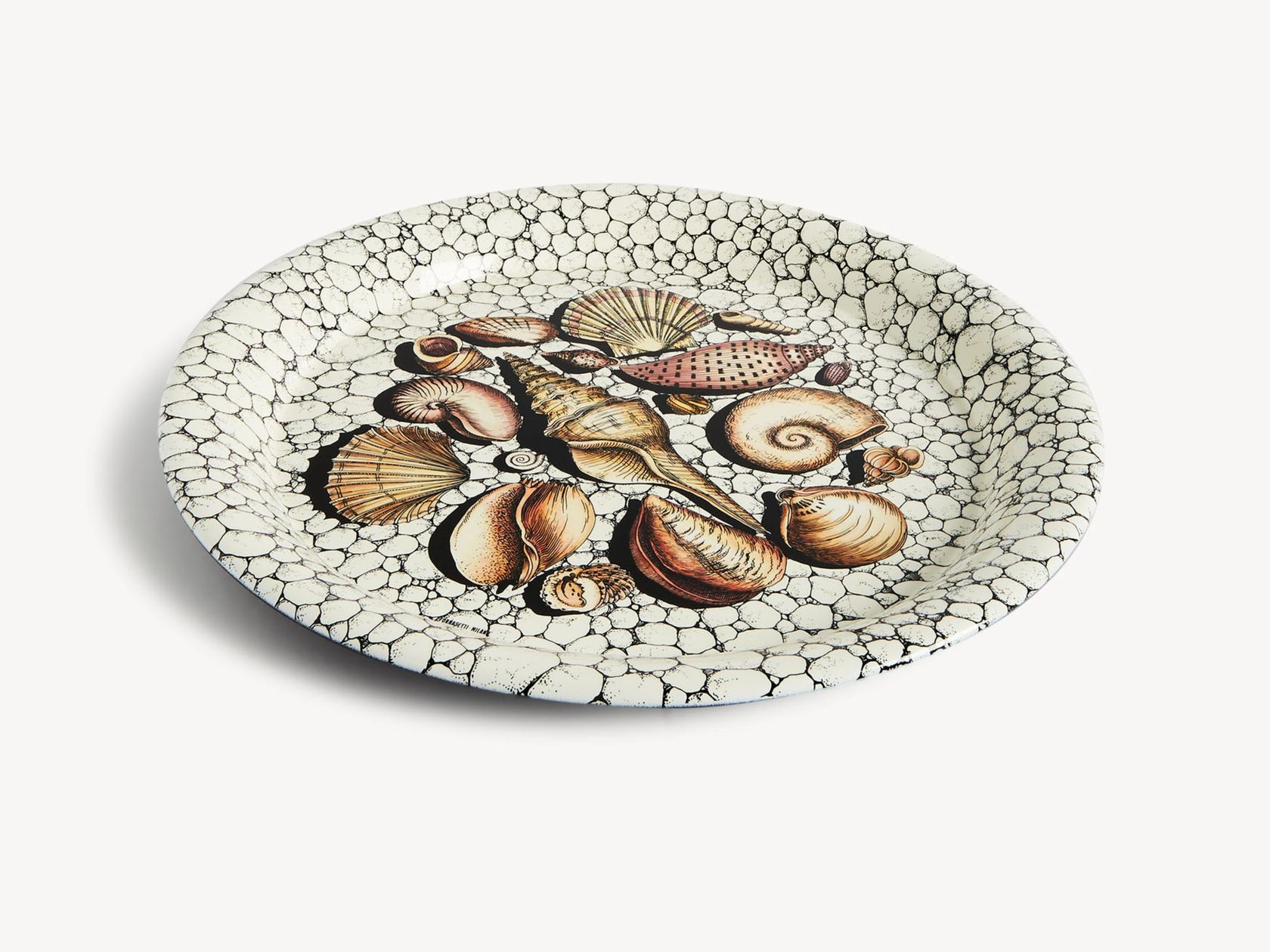 CONCHIGLIE E CIOTOLI