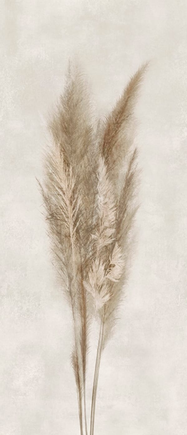 DECO SOLUTIONS PAMPA