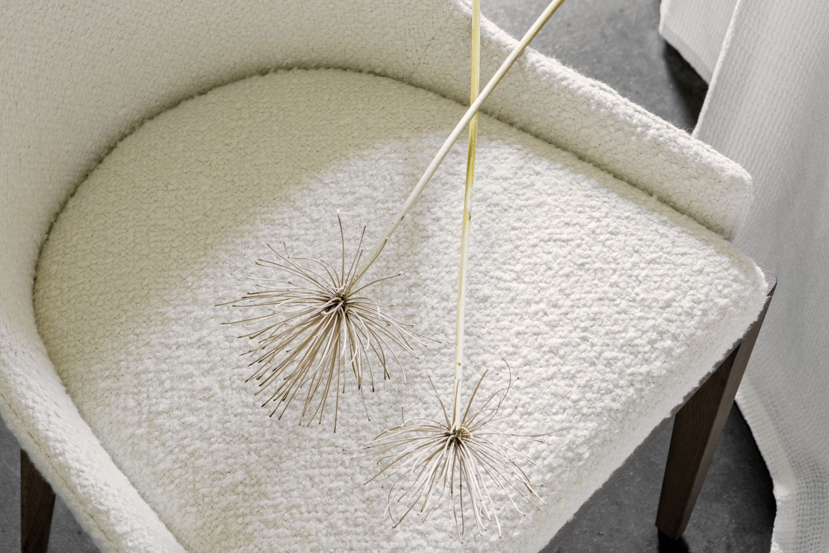 DOLCE LINO - TEXTURES DE LIN