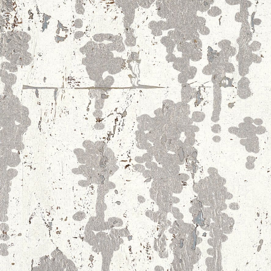 ESSENCE DE LIÈGE - CHAMPAGNE