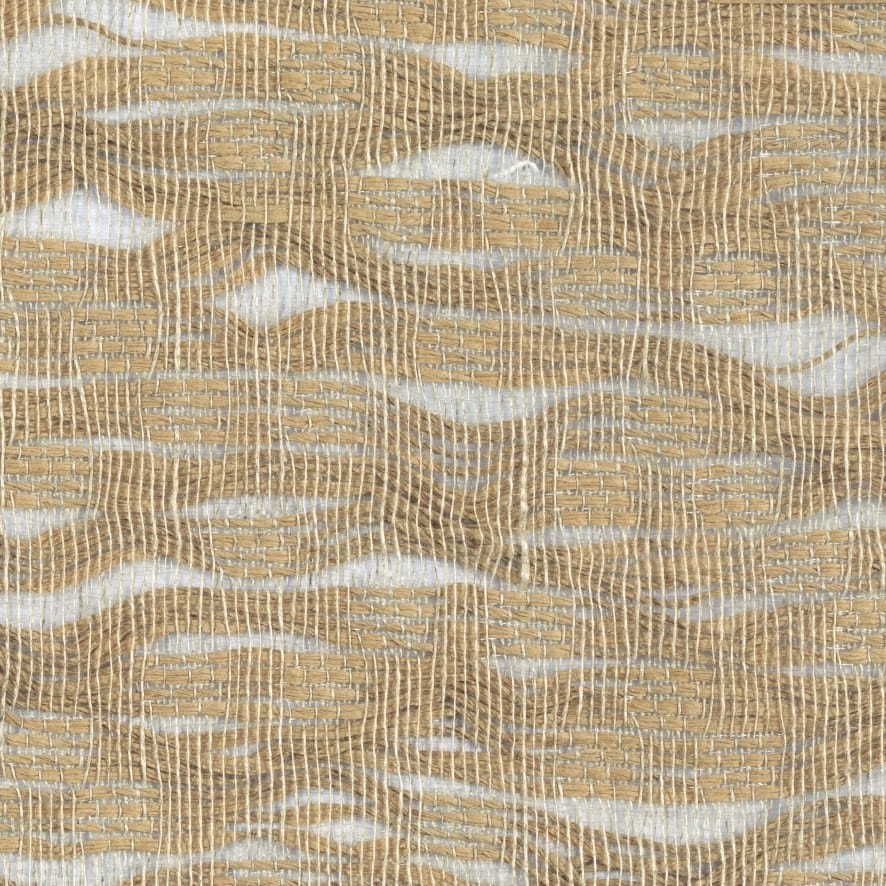 EXPRESSION - CHIMÈRE