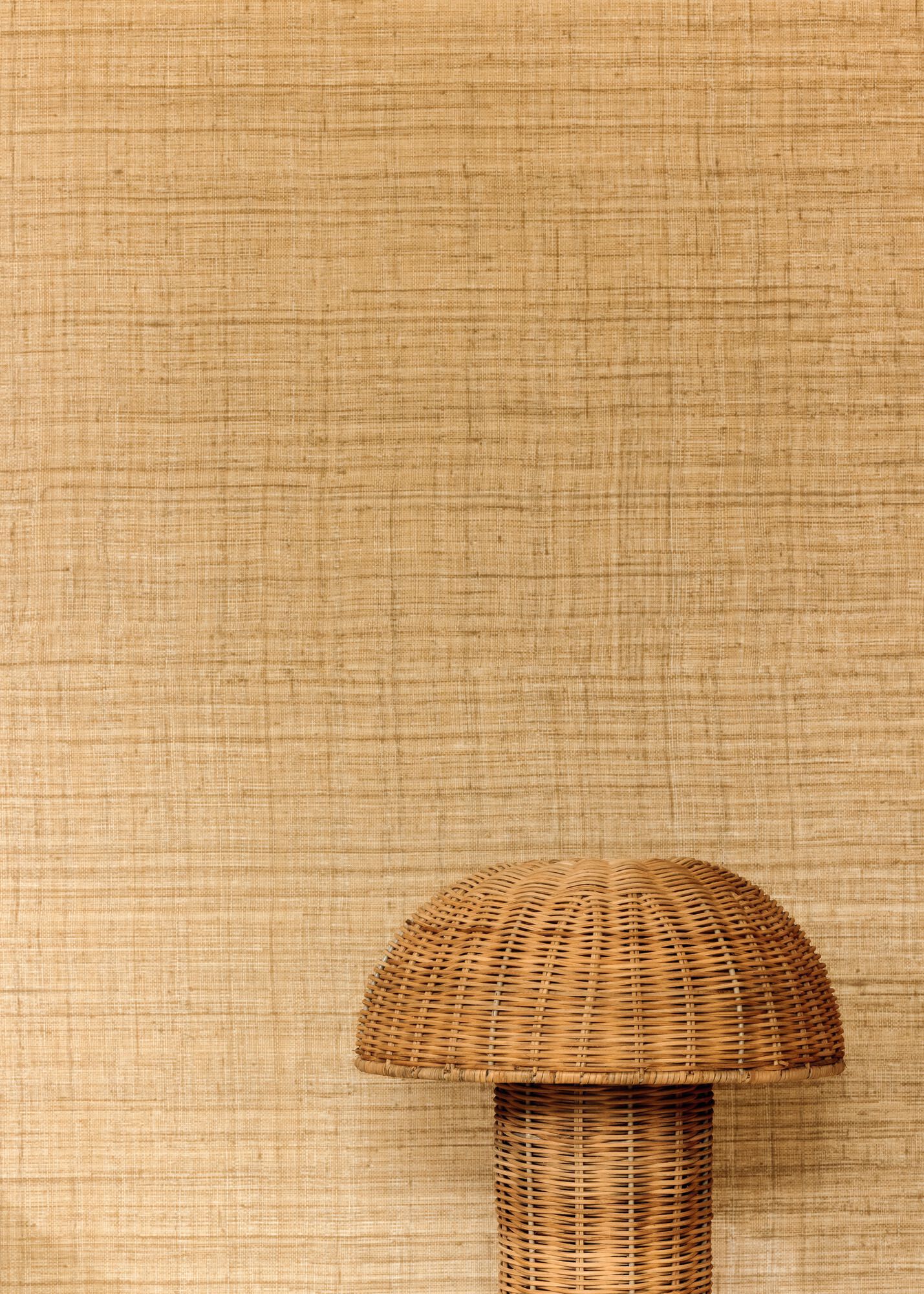 MATIÈRES VÉGÉTALES - ABACA