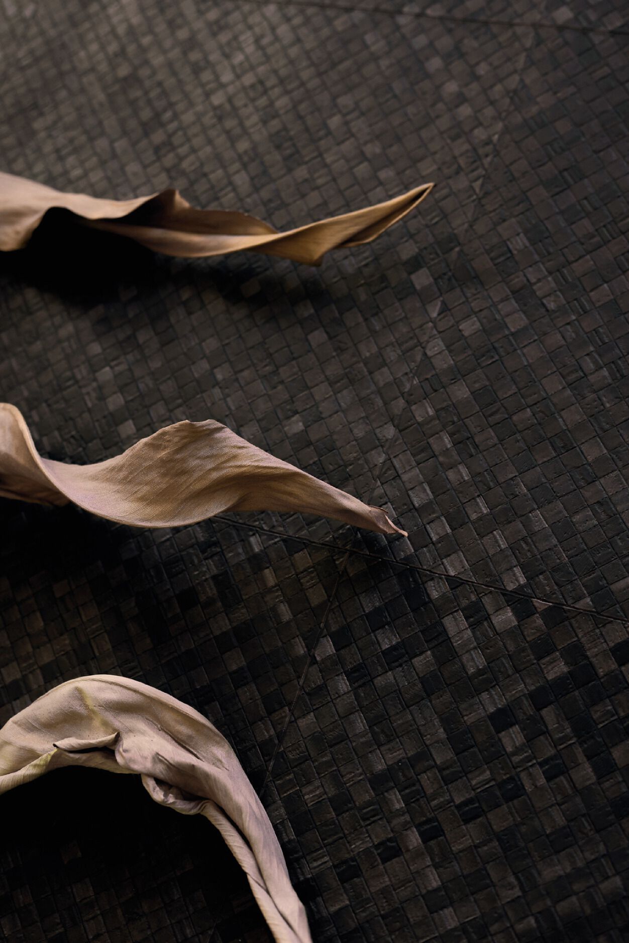 MATIÈRES VÉGÉTALES - BURI