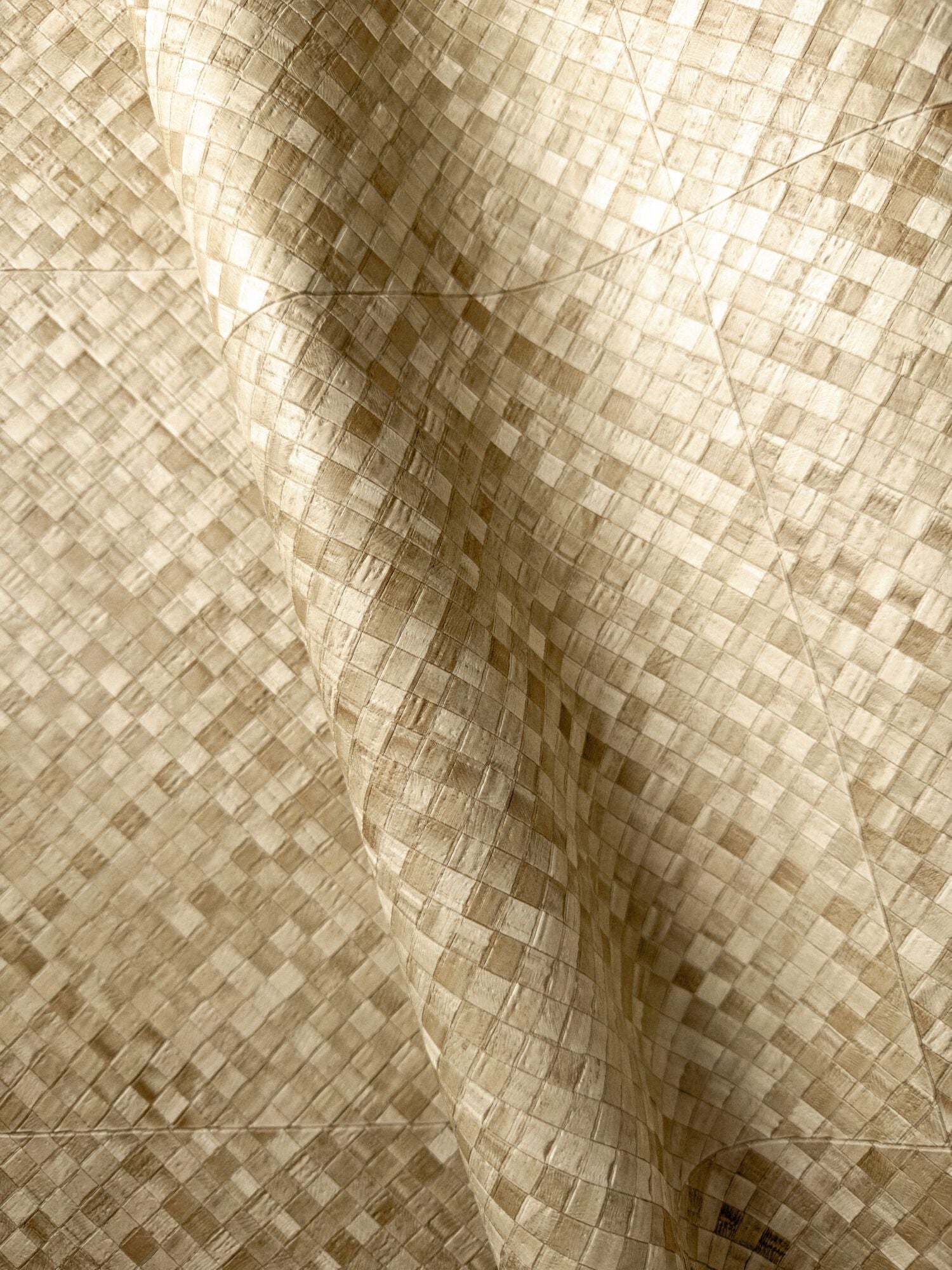 MATIÈRES VÉGÉTALES - BURI