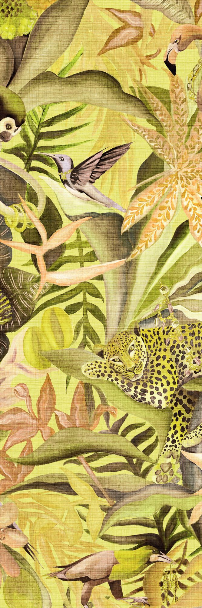 MATIÈRES VÉGÉTALES - COSTALEGRE