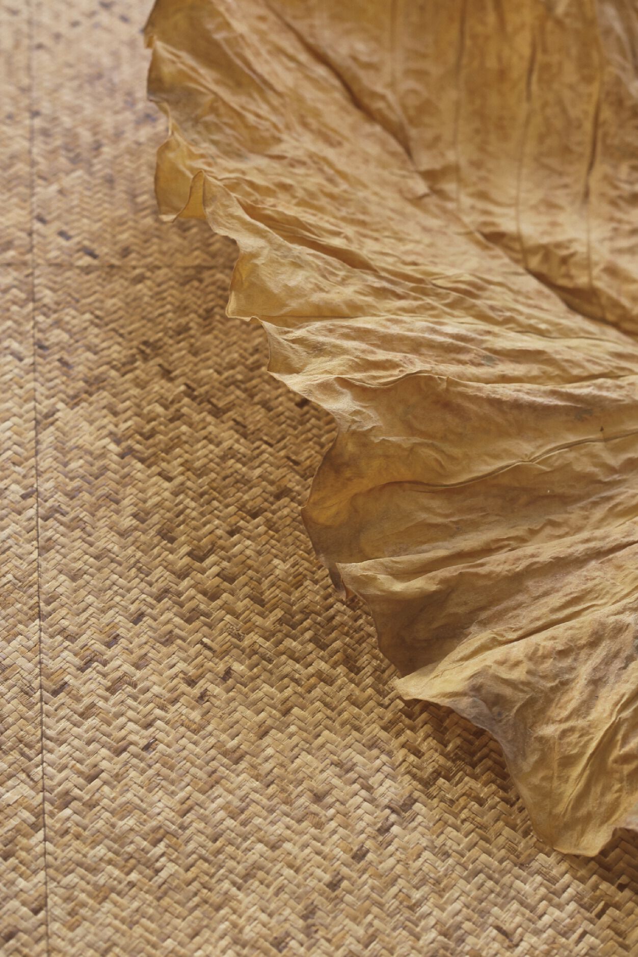 MATIÈRES VÉGÉTALES - ROTIN