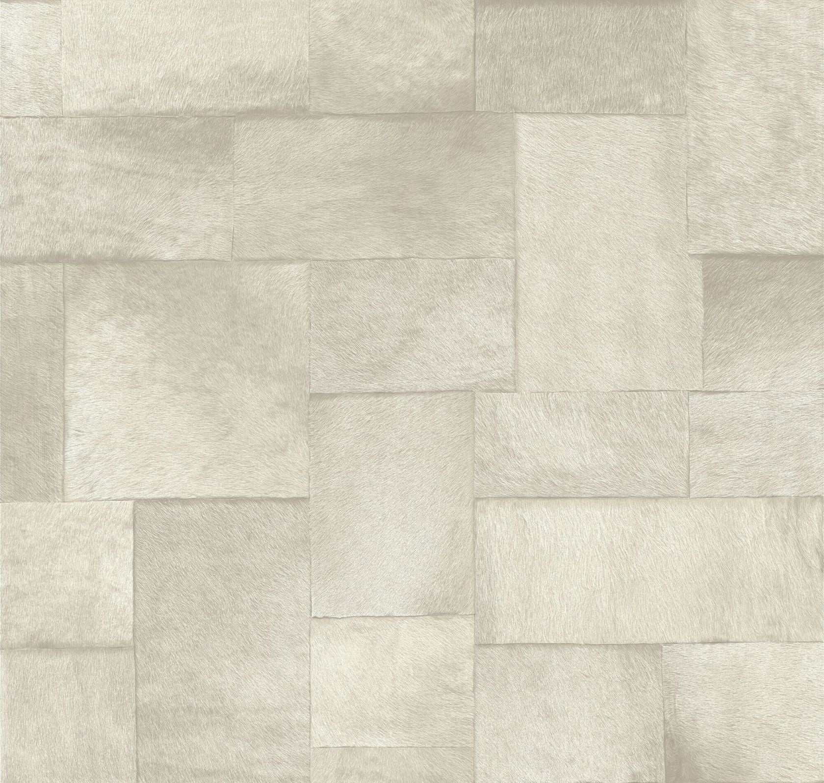 SAUVAGES - APPALOOSA