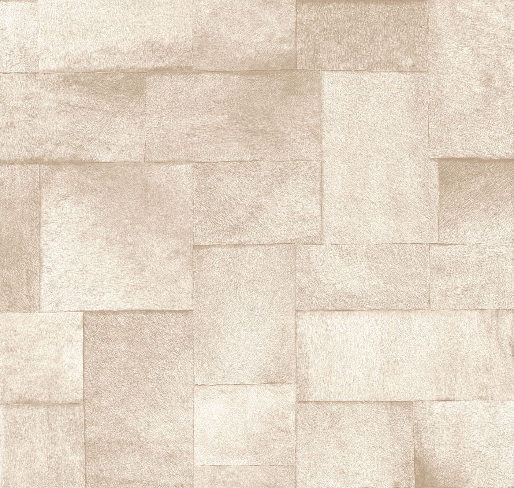 SAUVAGES - APPALOOSA