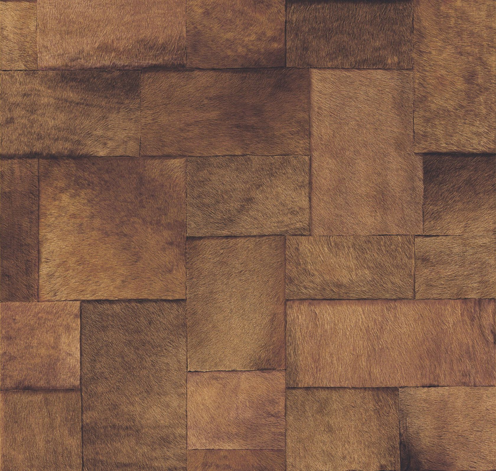 SAUVAGES - APPALOOSA