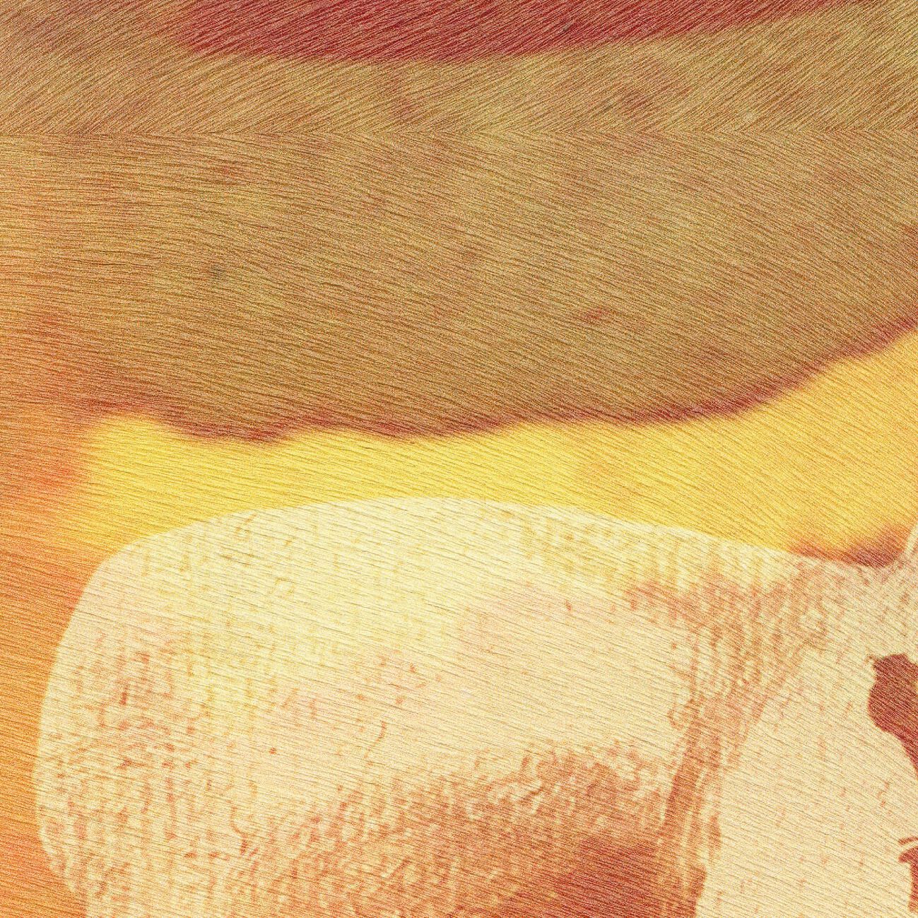 SAUVAGES - L'APPEL DE LA FORÊT