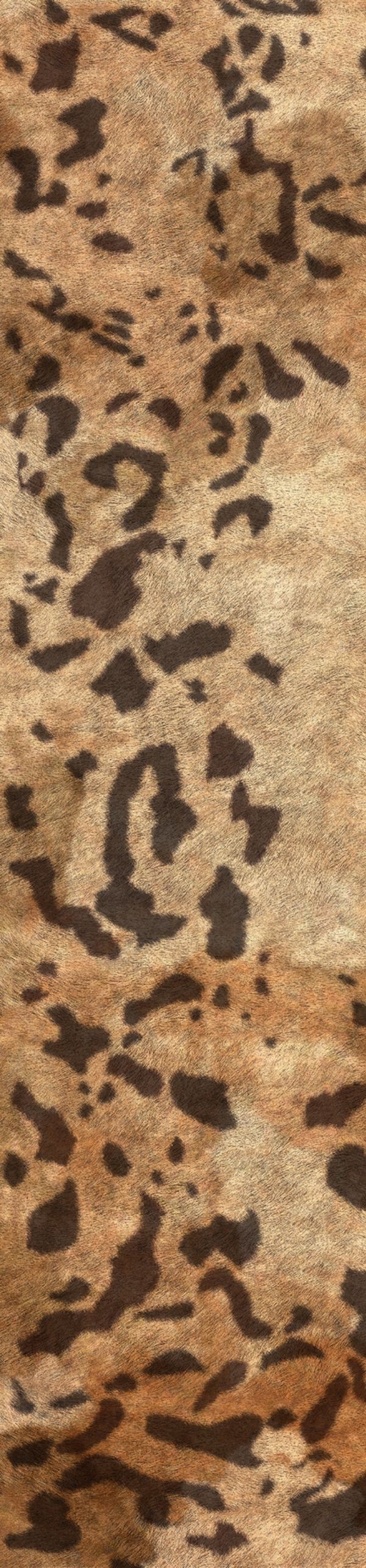 SAUVAGES - LÉOPARD