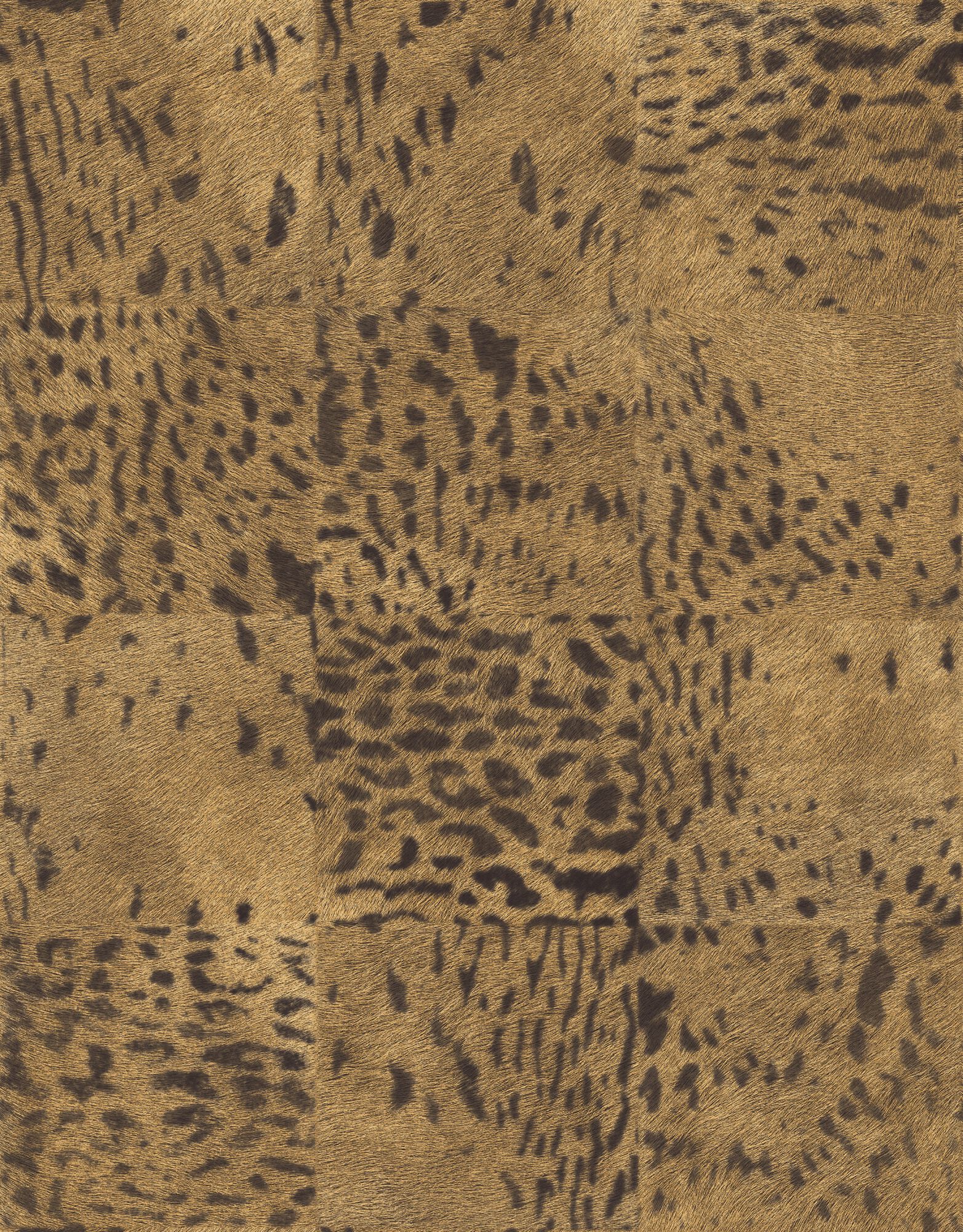 SAUVAGES - PANTHÈRE