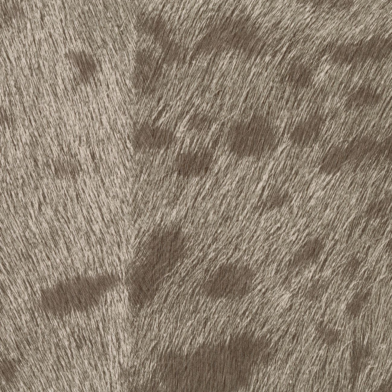 SAUVAGES - PANTHÈRE