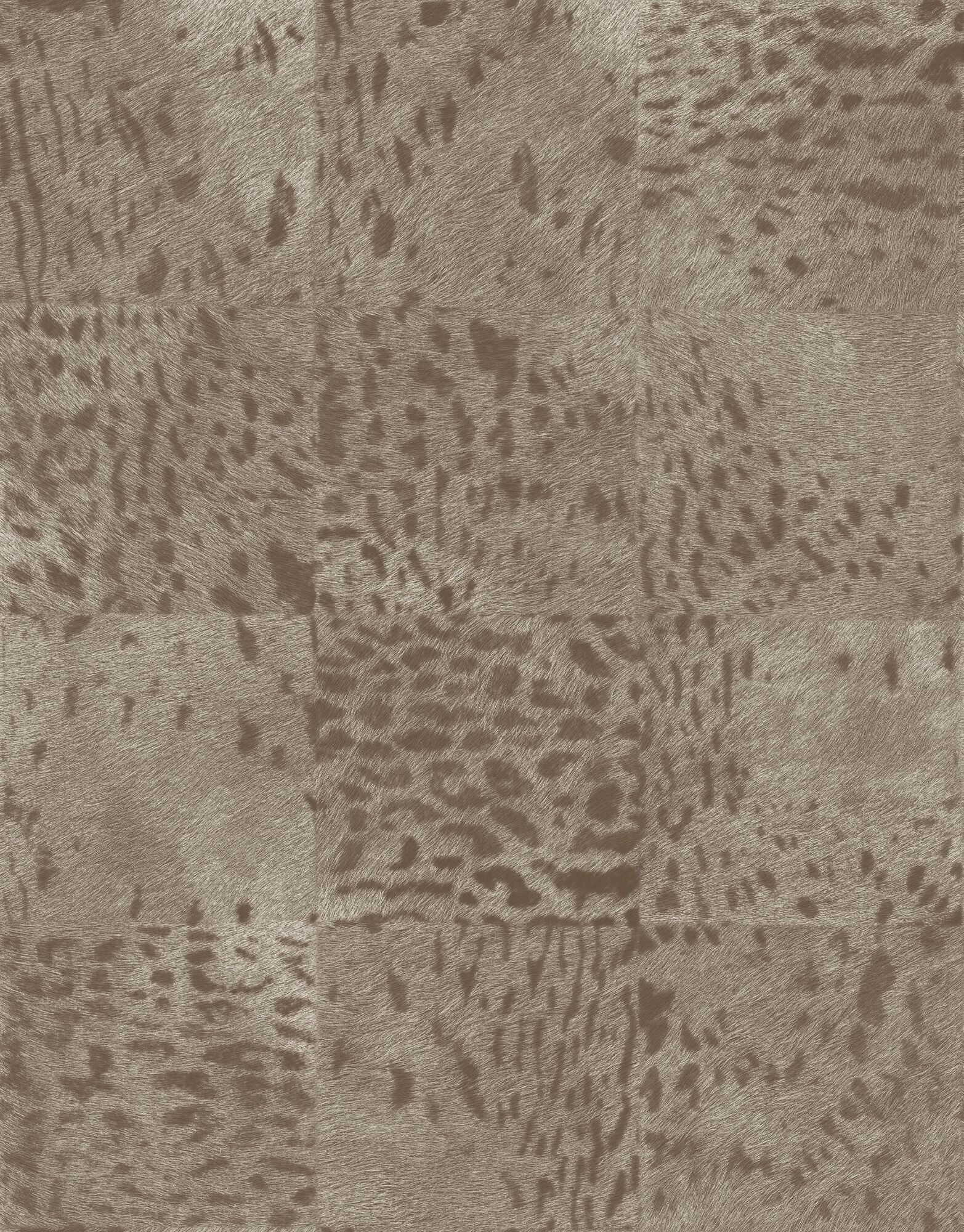 SAUVAGES - PANTHÈRE