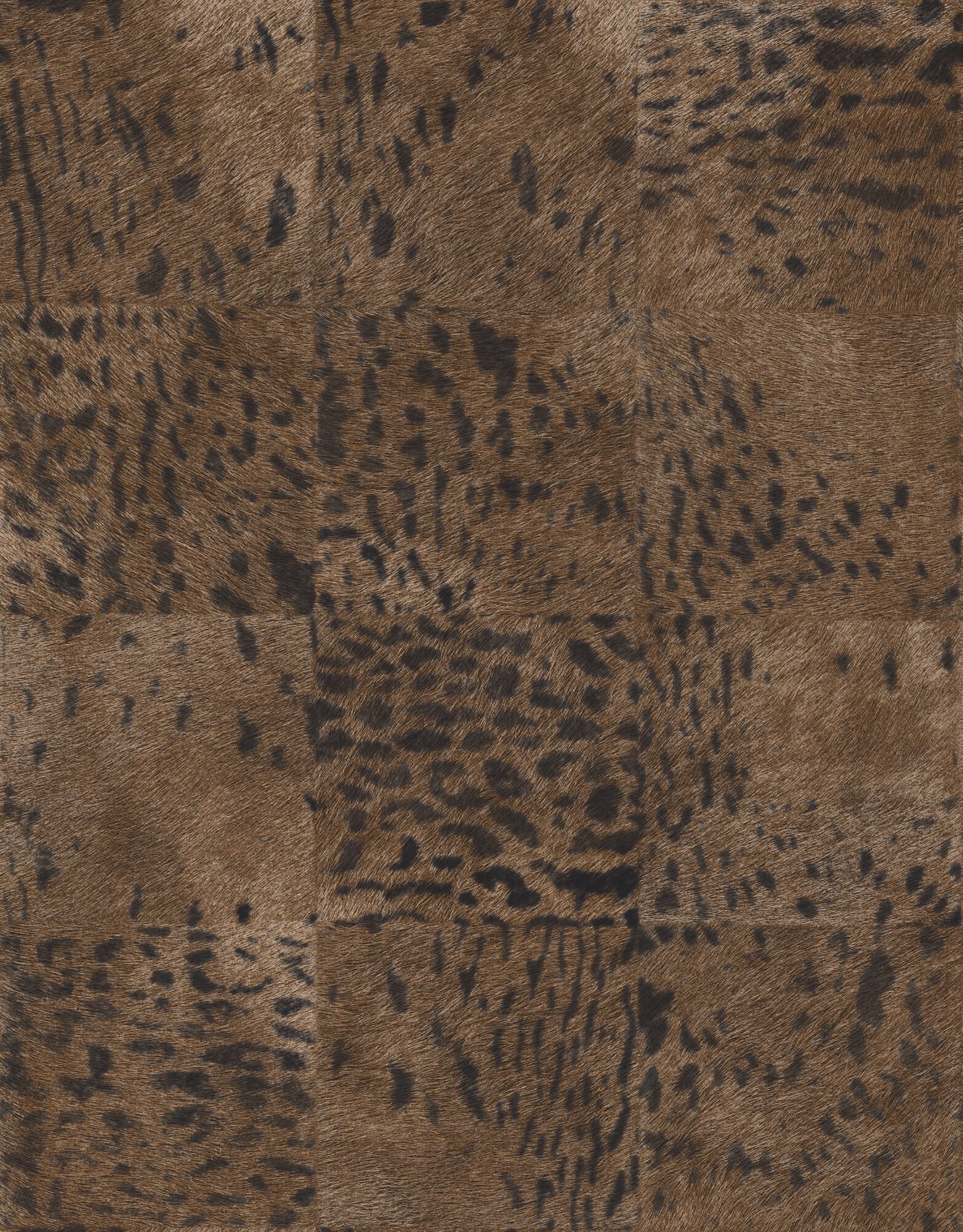 SAUVAGES - PANTHÈRE