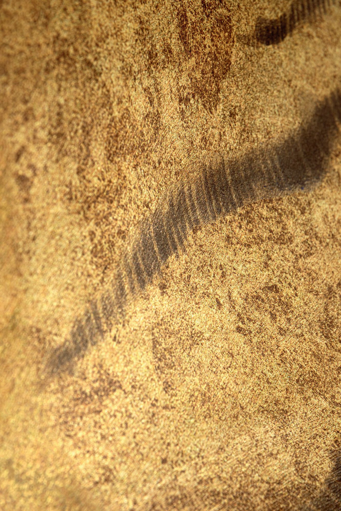 SAUVAGES - TIGRE ROYAL