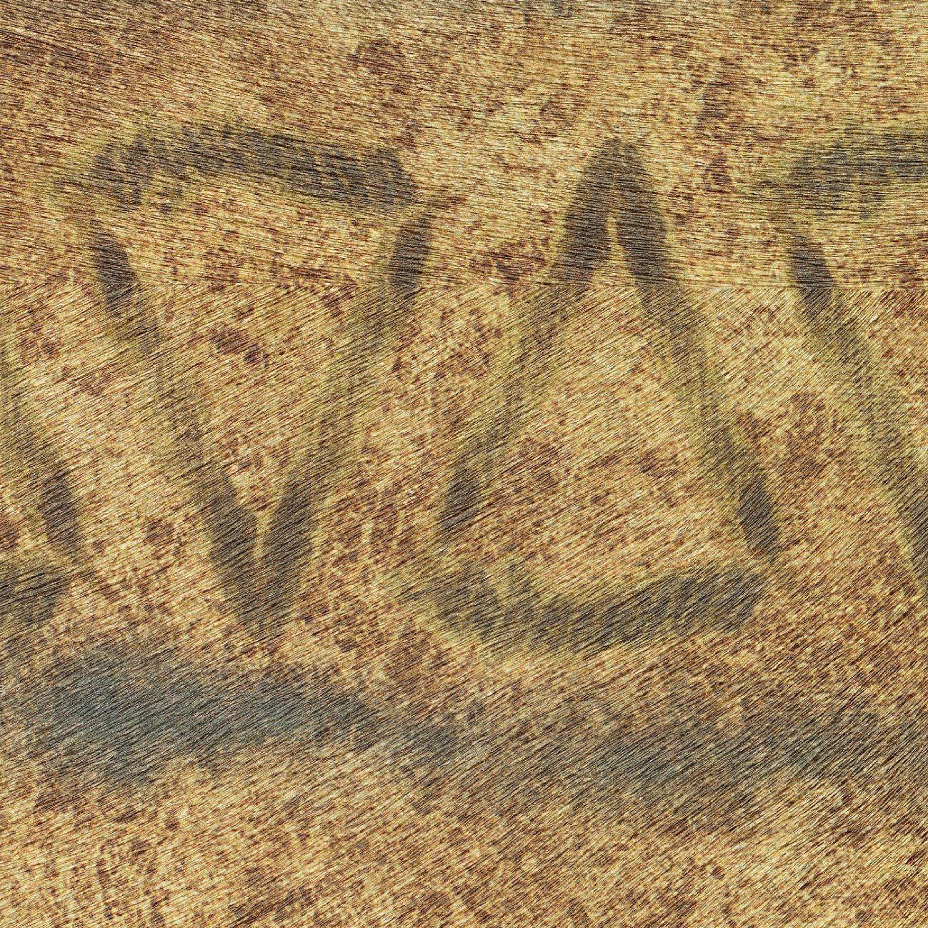 SAUVAGES - TIGRE ROYAL