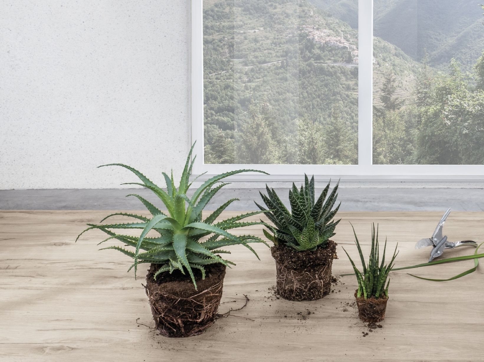 FURNISHING - LEGNO VENEZIA