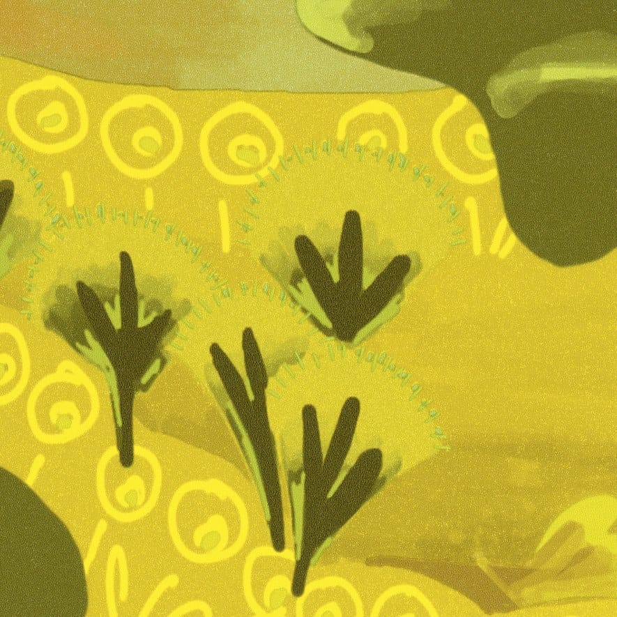 LES PETITES HISTOIRES - RÊVES DE MANILL