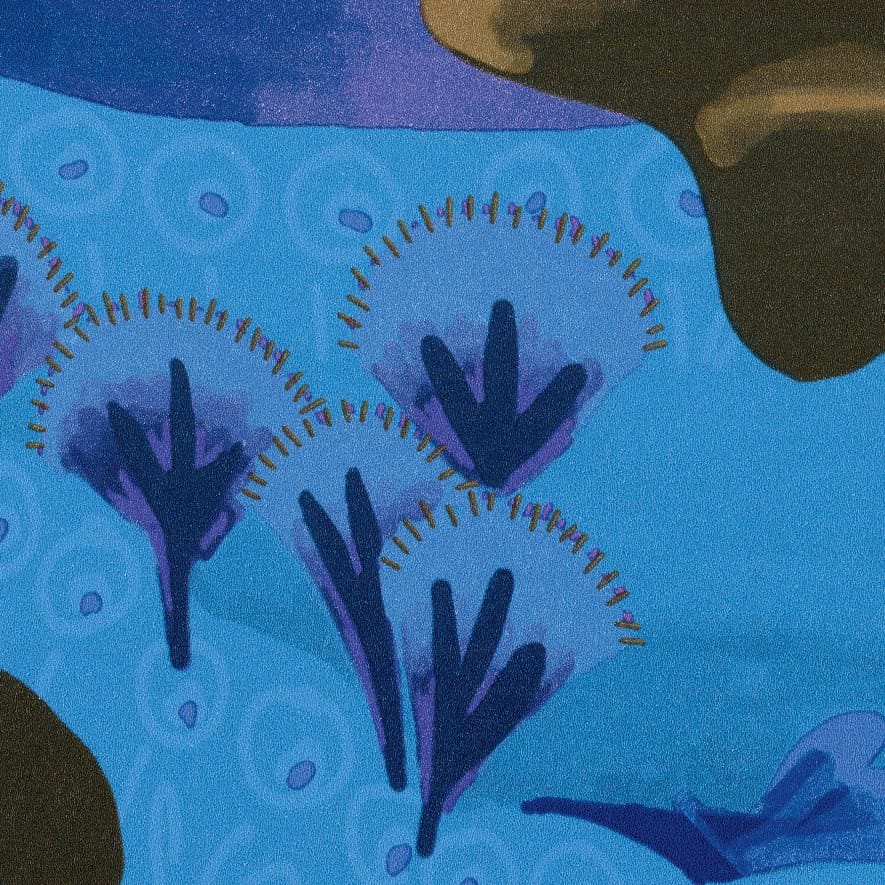 LES PETITES HISTOIRES - RÊVES DE MANILL