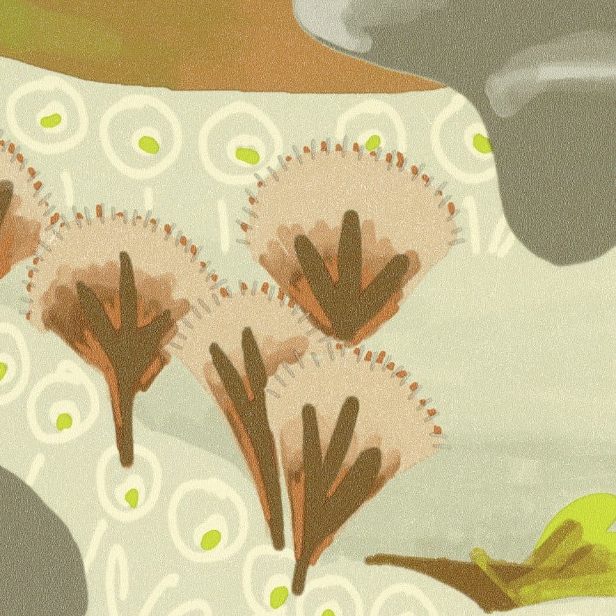 LES PETITES HISTOIRES - RÊVES DE MANILL