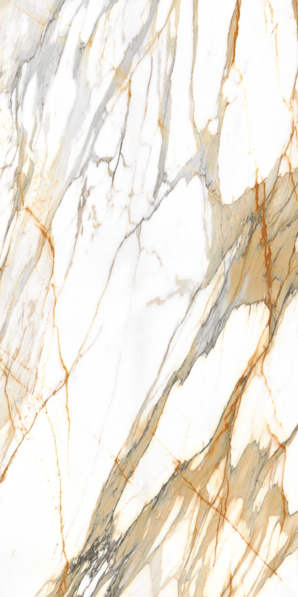 CALACATTA MEDICEO BOOK MATCH LUCIDATO