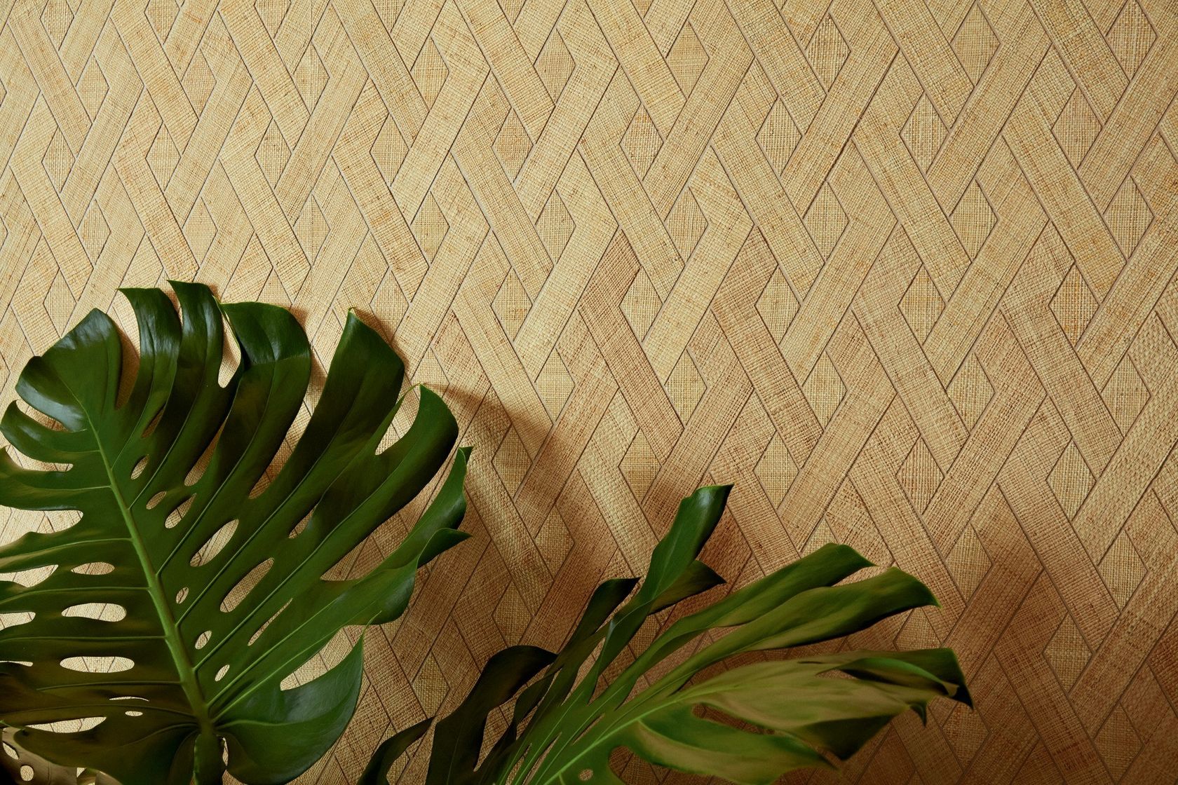 MERIDA - ENTRELAZADOS