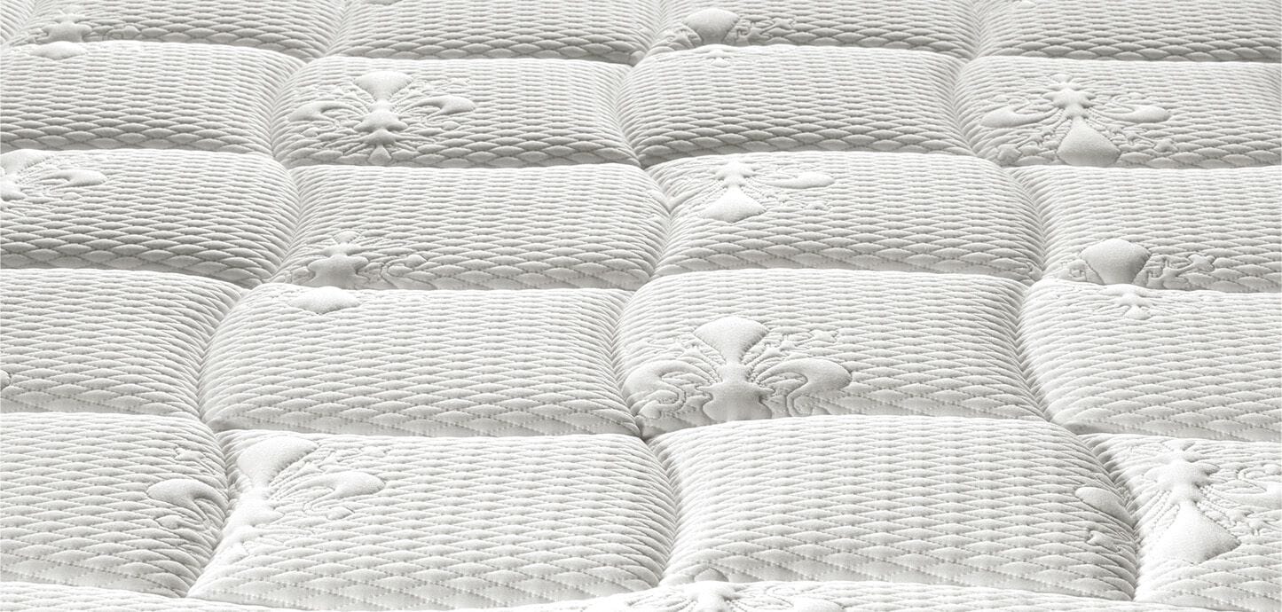 AUDACE ARMONIA MAGNIGEL DUAL 12