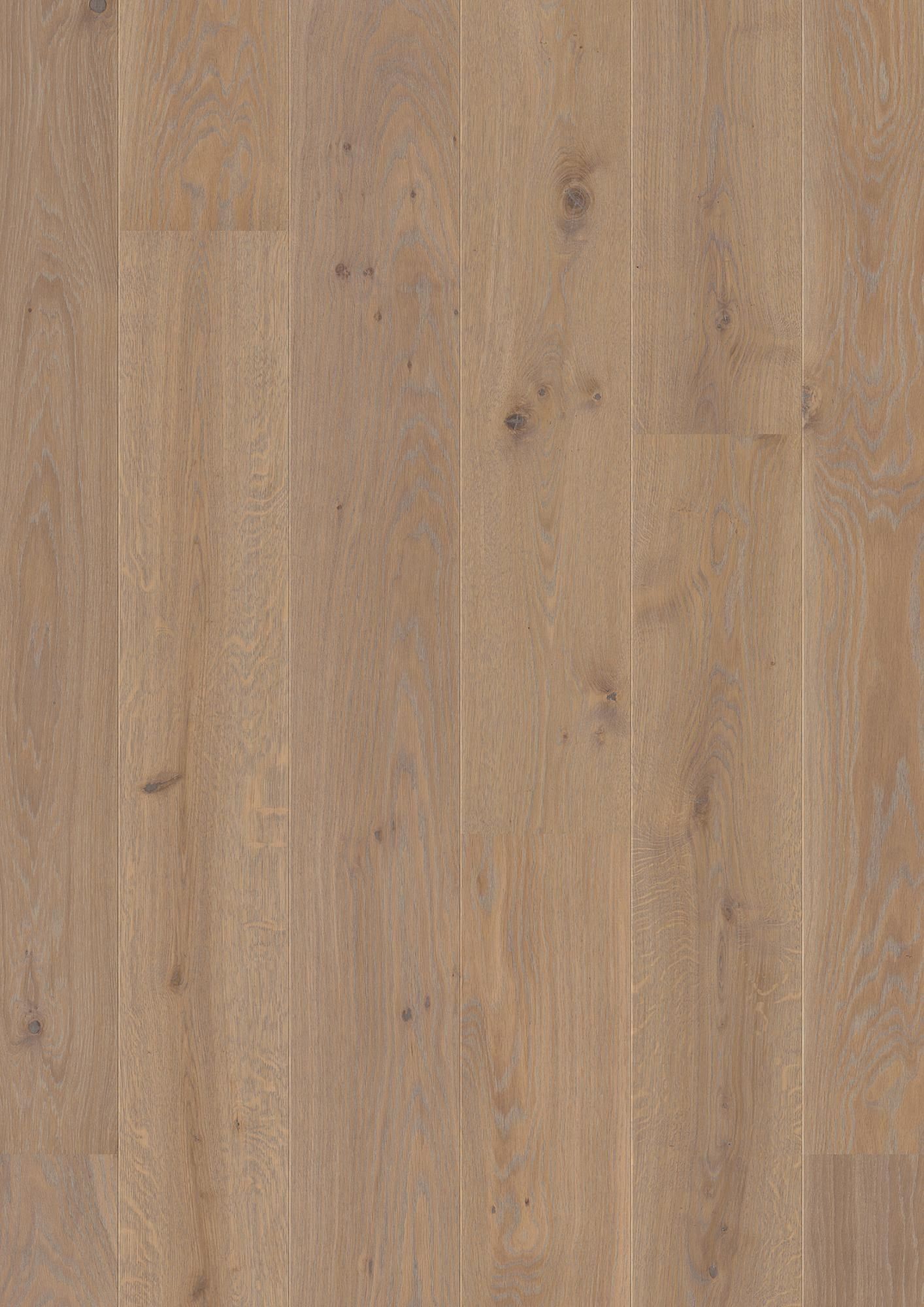 PLANCIA OAK WARM GREY