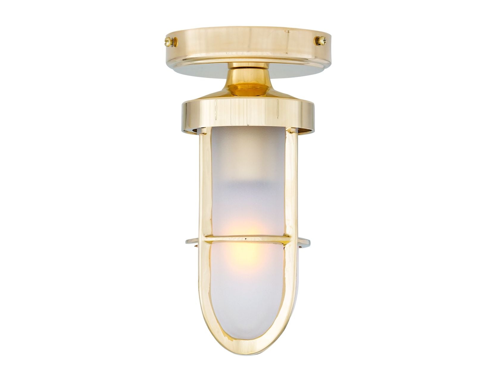 OREGON A CAGE WELL GLASS LIGHT FITTING