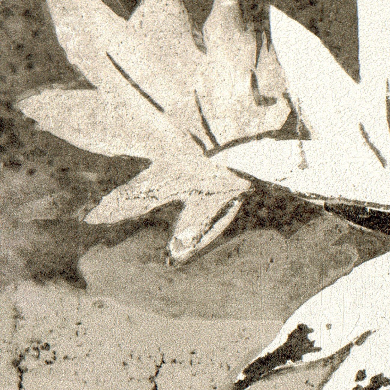 ORTIGIA - RETOUR DES INDES