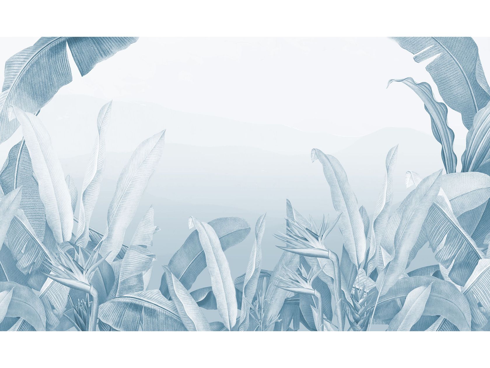 RAIN FOREST CARTA DA ZUCCHERO