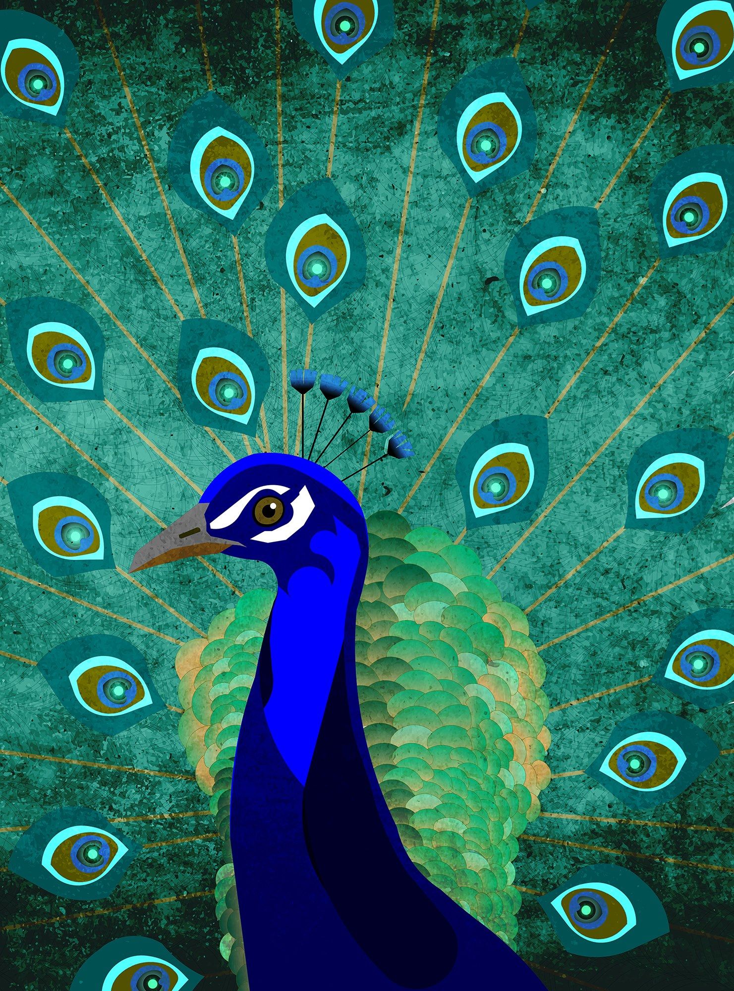 PEACOCK