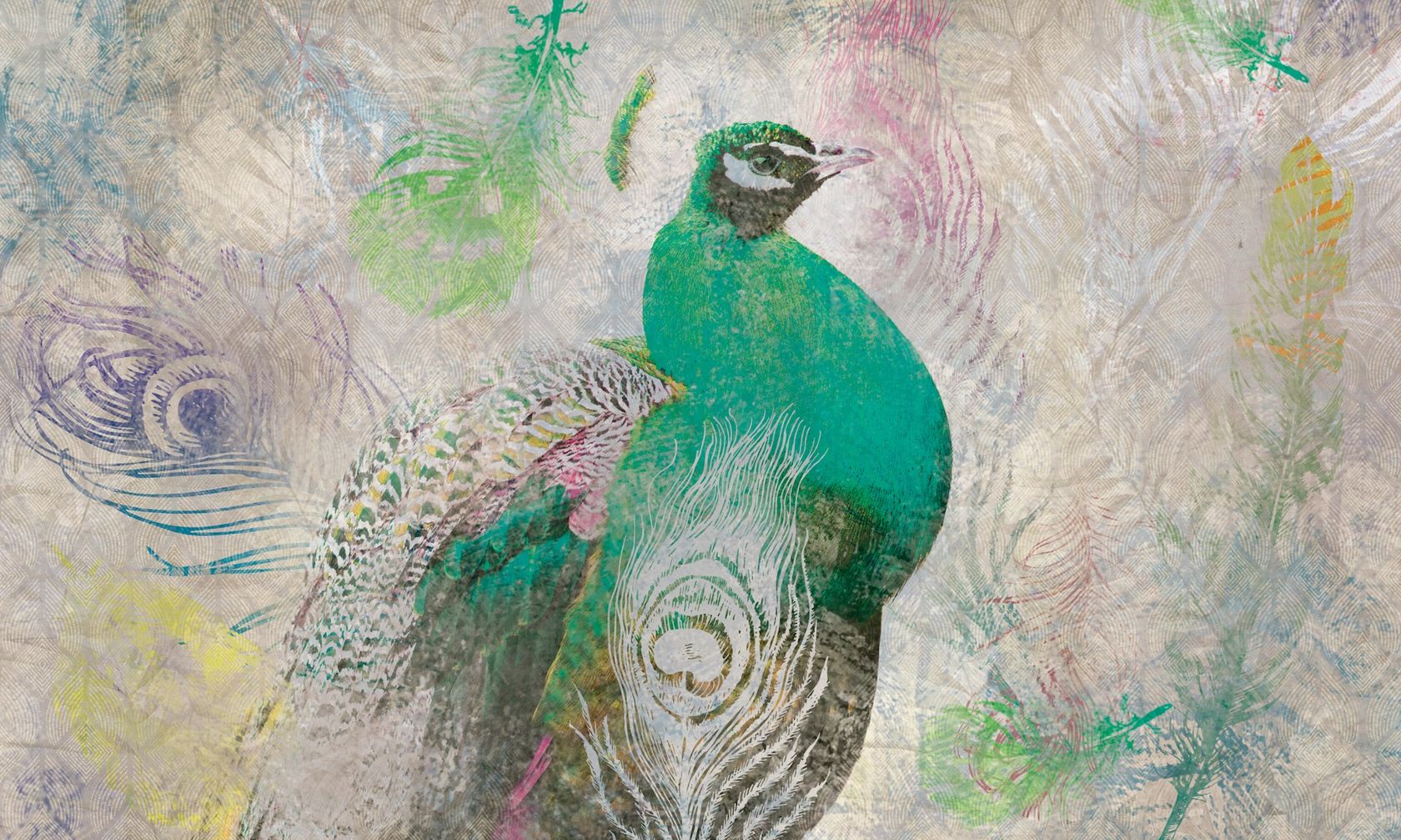 PEACOCK