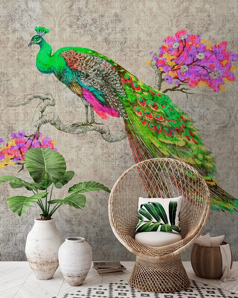PEACOCK