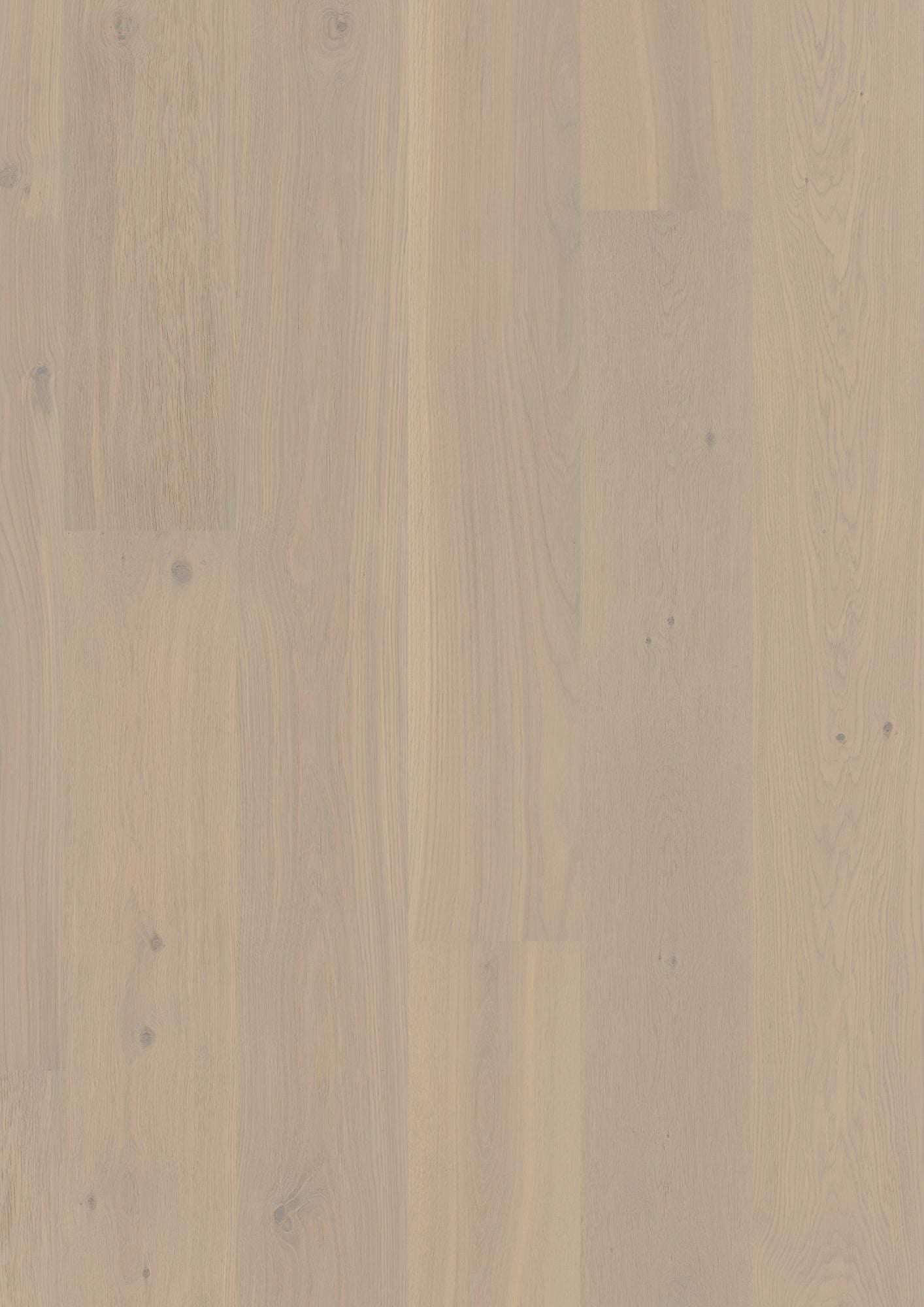 PLANCIA OAK WARM COTTON