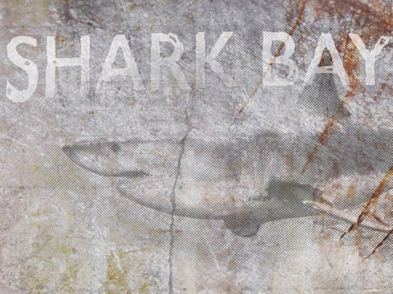 SHARK BAY