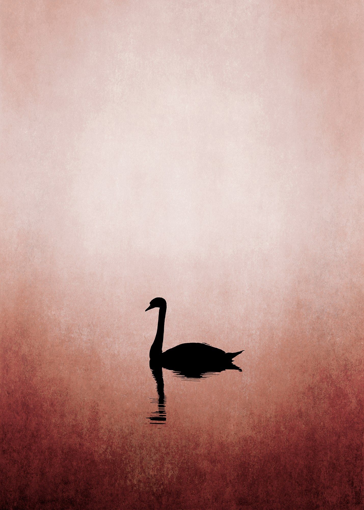 SWAN LAKE