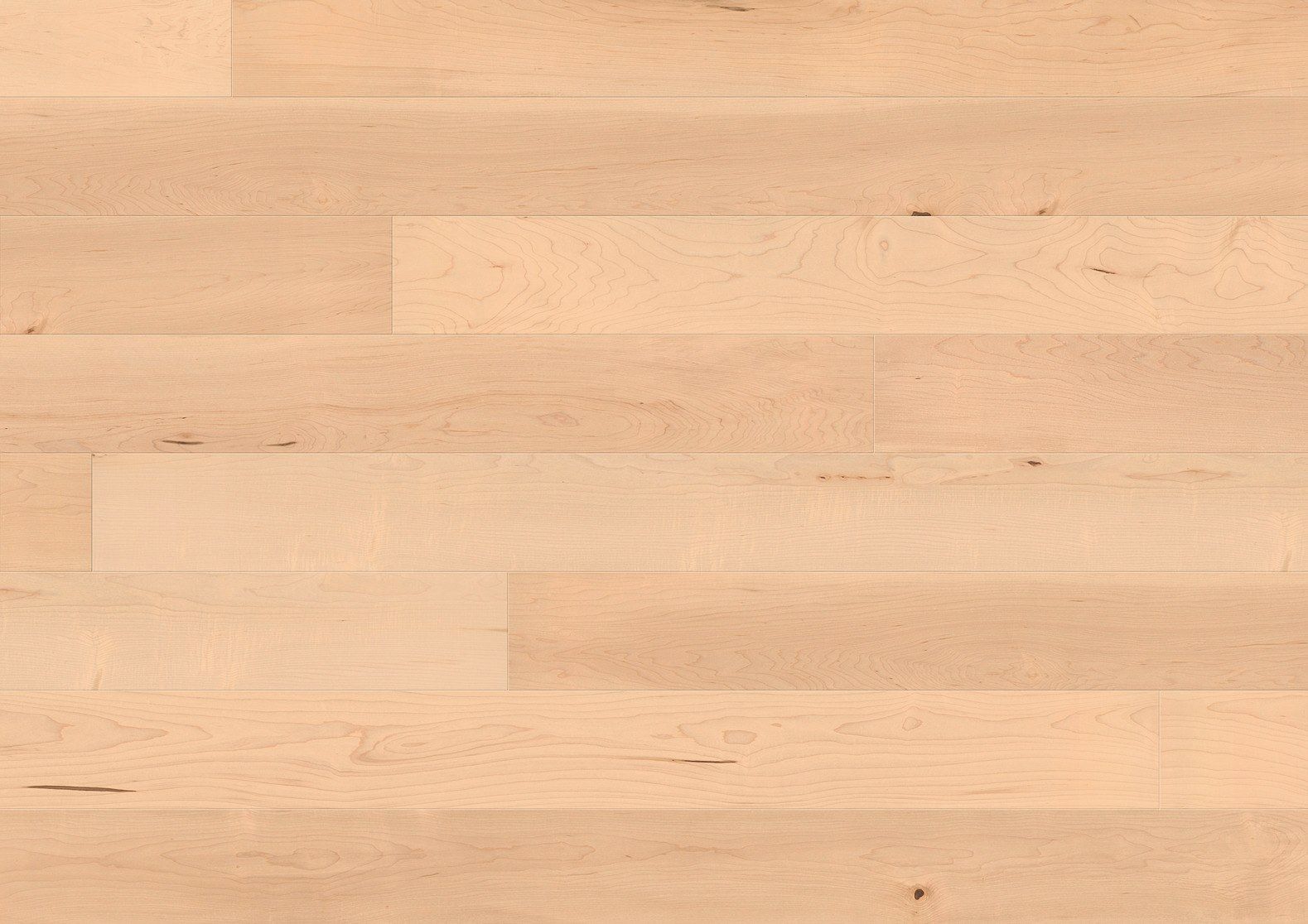 T10 HARD MAPLE CANADIAN