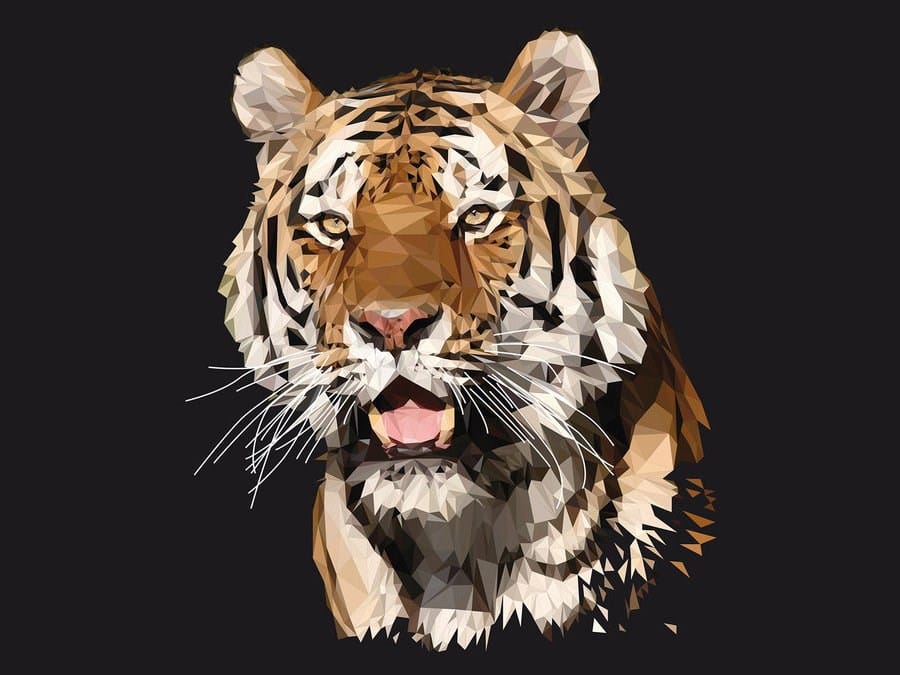 TIGER POLYGON