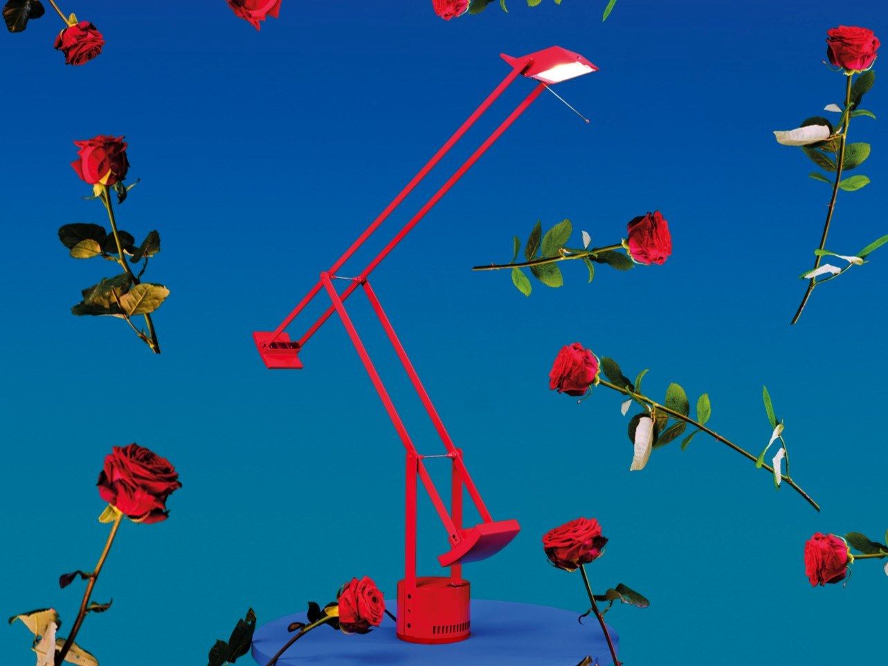 TIZIO 50th Anniversary Edition