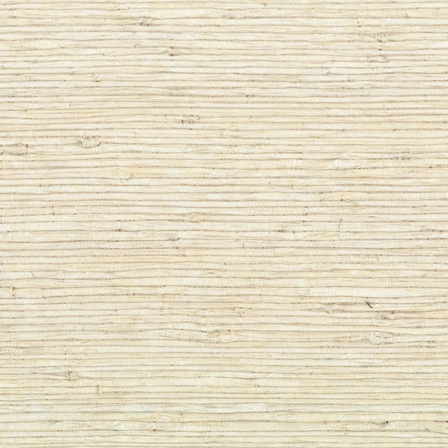 VESTIAIRE MASCULIN - ELÉGANTE