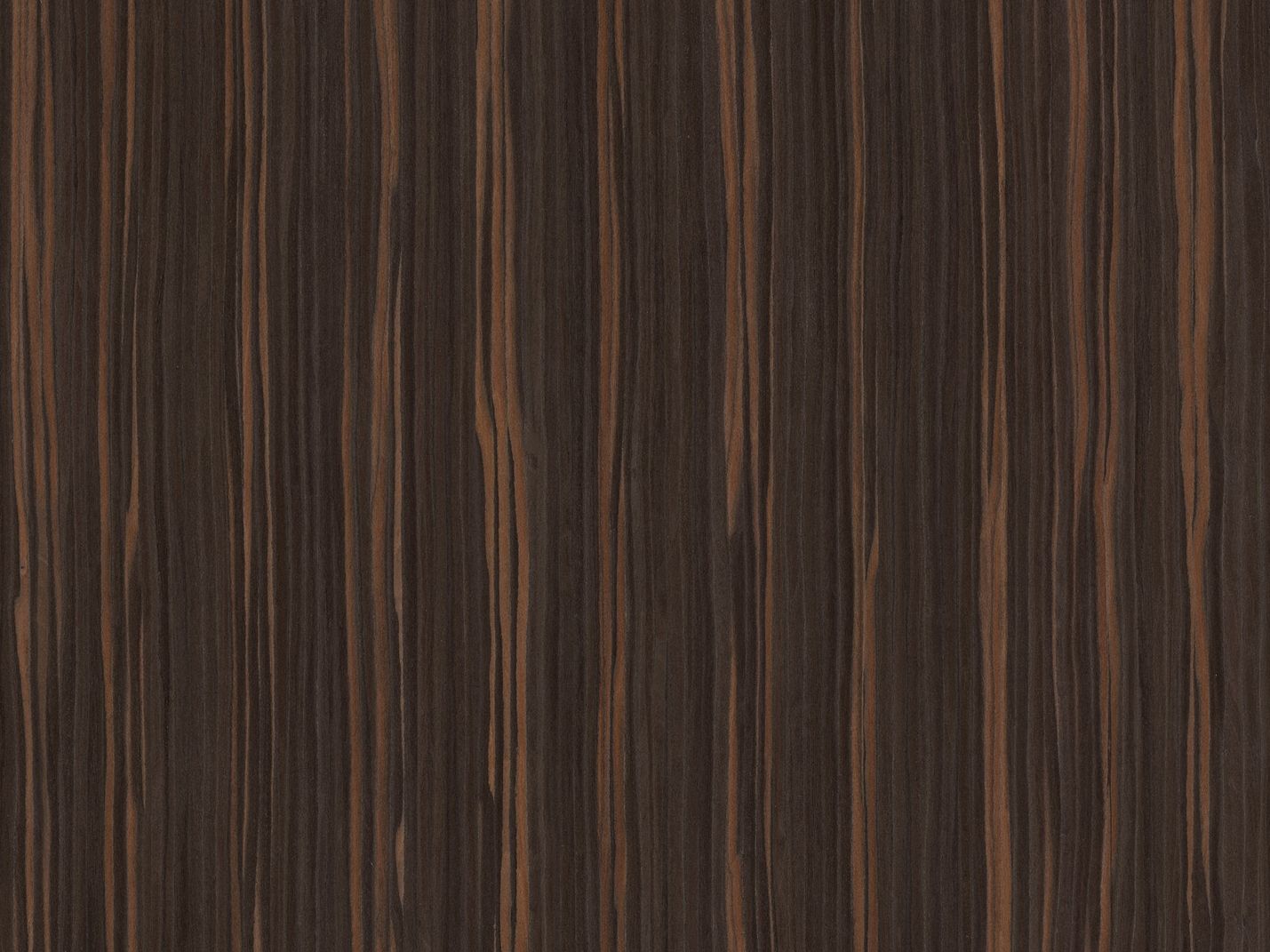 ALPI AMARA EBONY